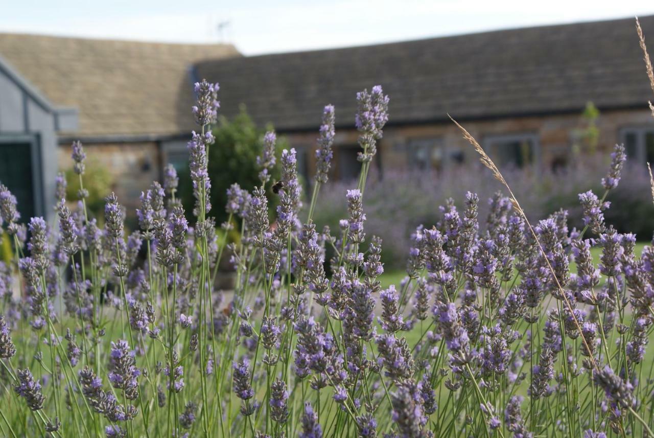 Harrogate Barns Villa Екстериор снимка